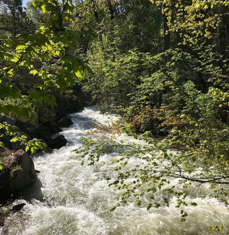 City issues warning as creeks run fast and high