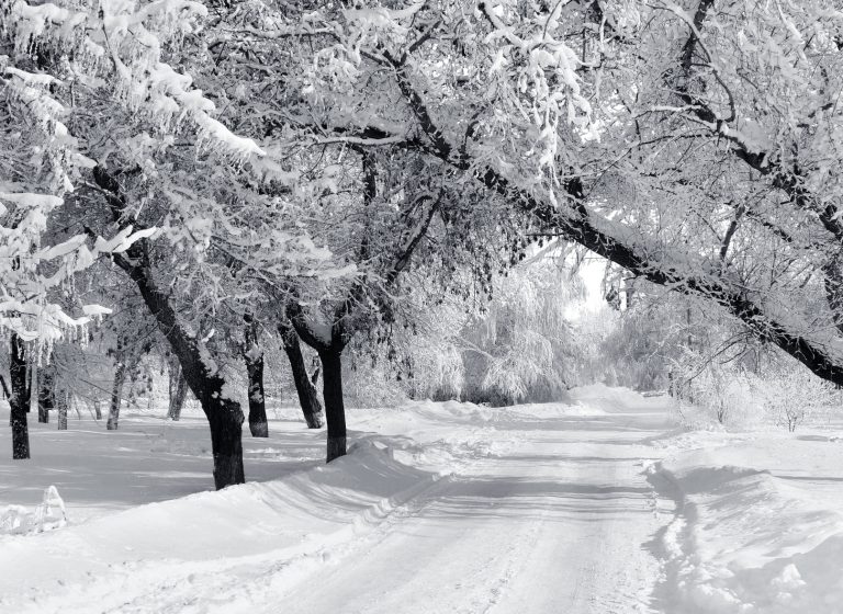 Heavy snow causes power outages in and around Nelson