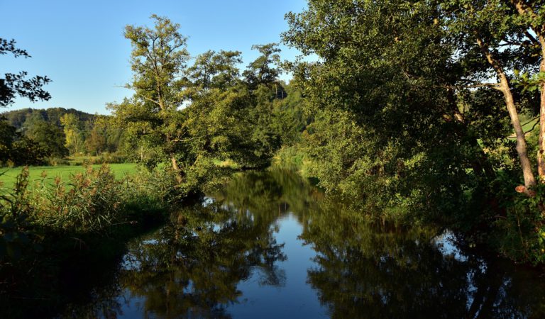 B.C. government launches watershed projects to protect wetlands