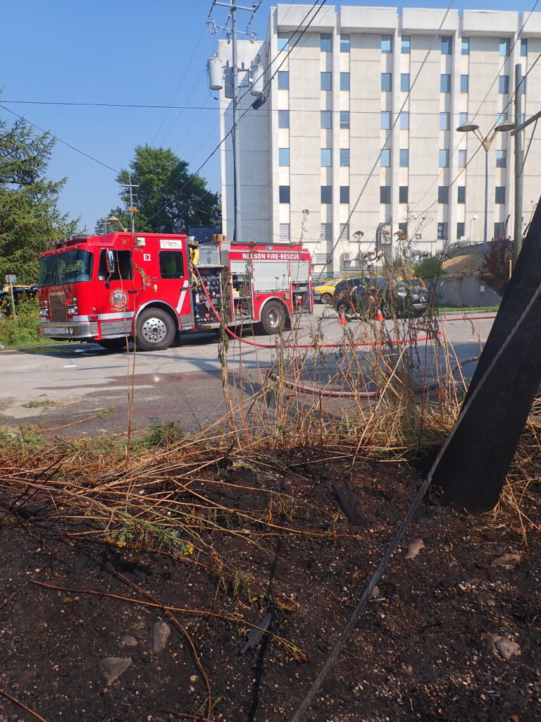 Grass fire put out near Nelson city hall