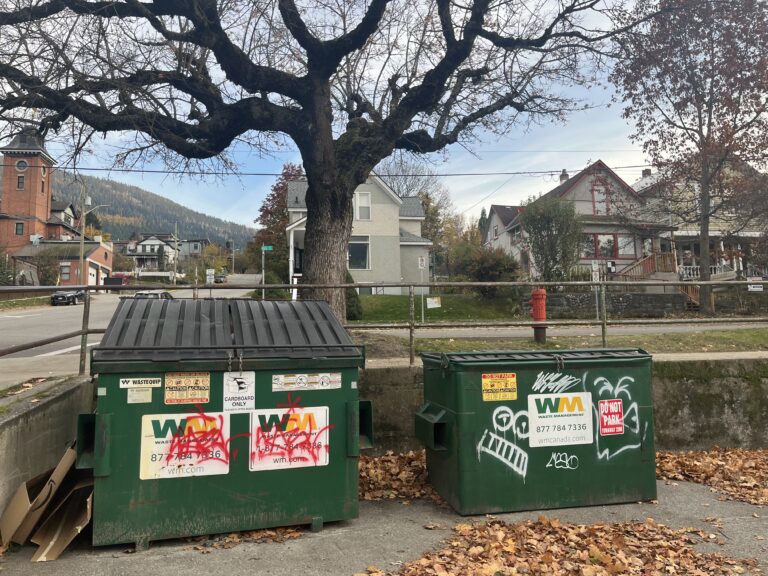 Province announces vandalism rebate program amidst Nelson’s tagging issue