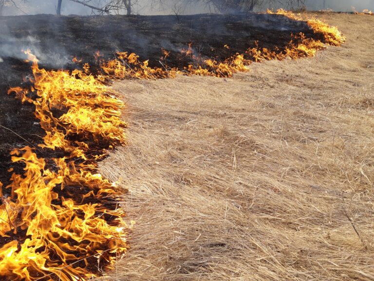 Prescribed burn planned for Meadow Mountain