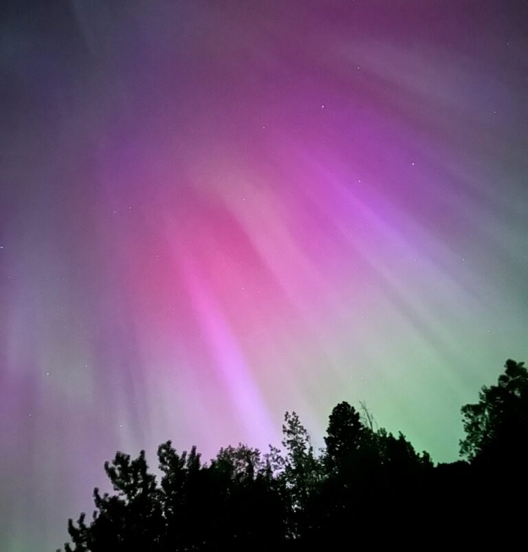 See the Northern Lights tonight