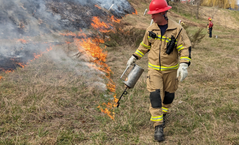 Prescribed burn continues in Selous Creek area