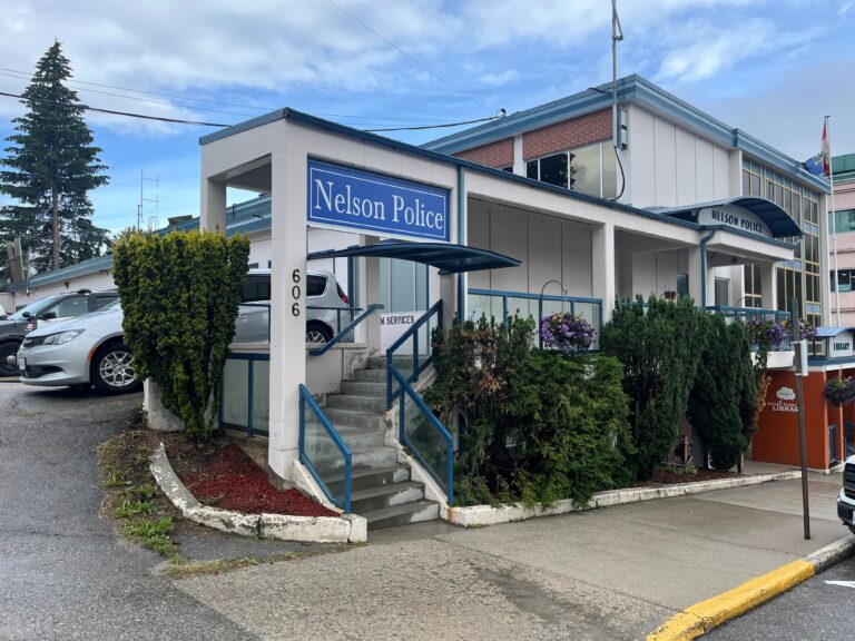 Nelson Police weekly report