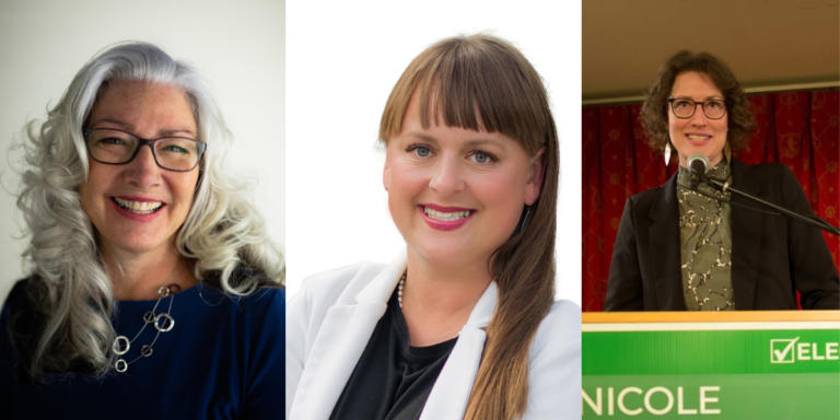 Anderson, Mori and Charlwood declare candidacy for Kootenay Central riding in 2024 provincial election