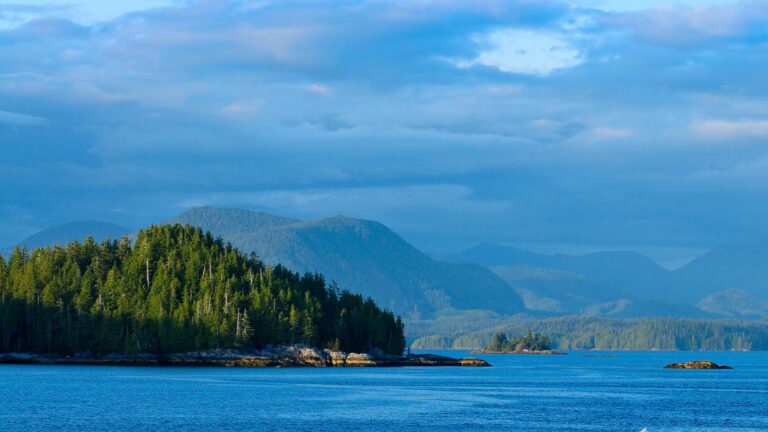 3-Day Trip to the Great Bear Rainforest