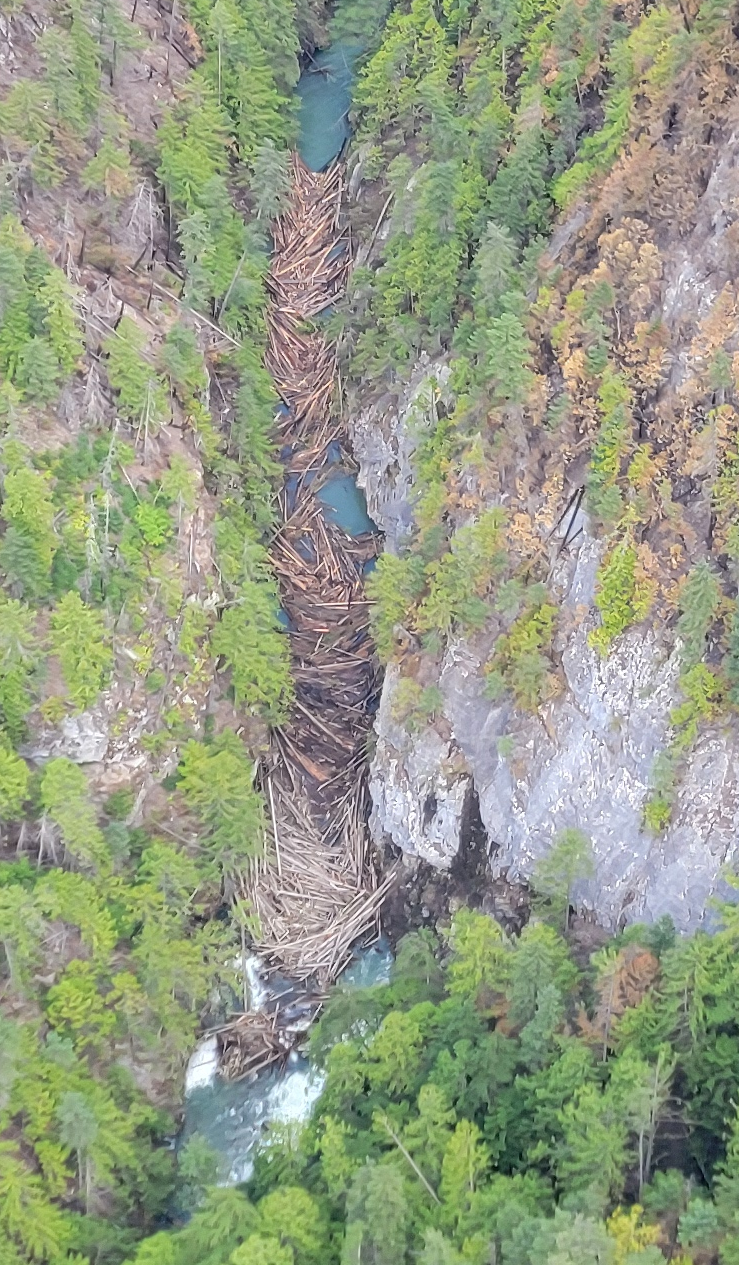 Log jam identified near Argenta