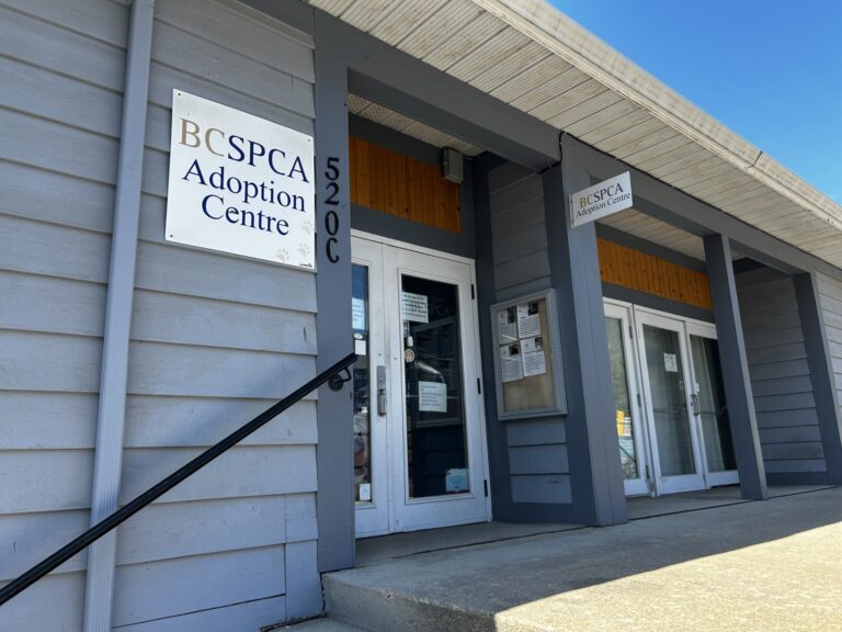 Nelson SPCA Adoption Centre to close this fall