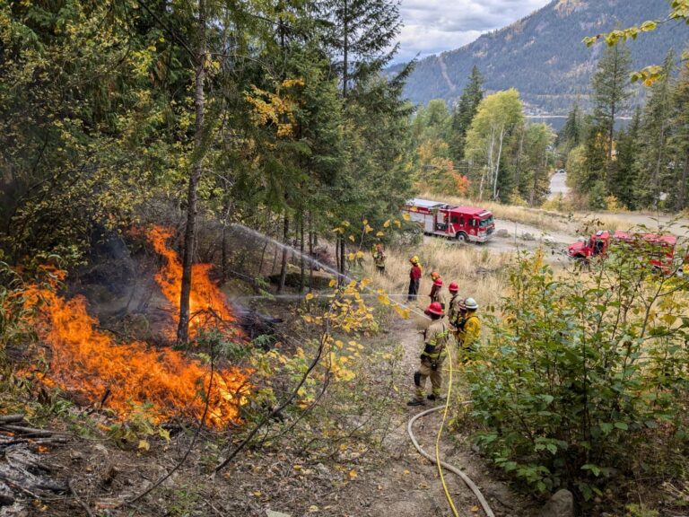 Nelson Fire Rescue joins wildfire training exercise