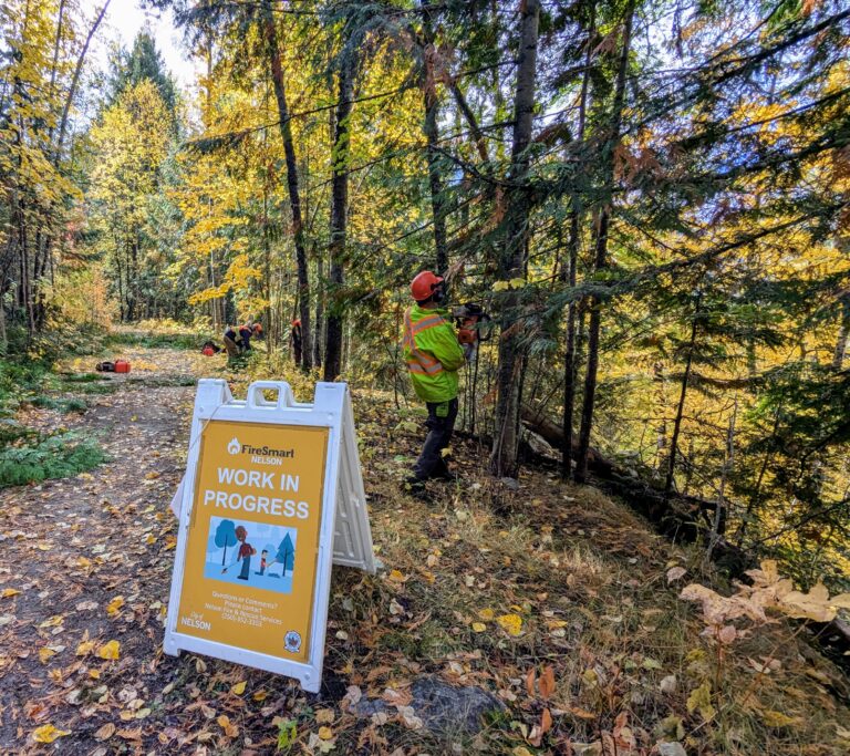 Wildfire mitigation efforts underway in the City of Nelson