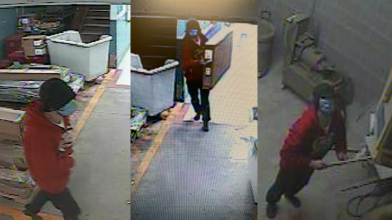 Nelson Police seeking help to identify break and enter suspect