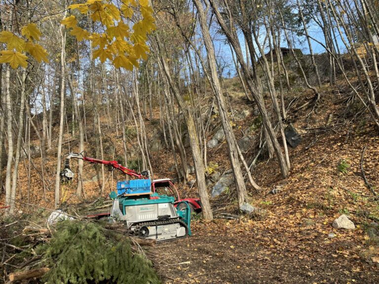 City of Nelson pilots remote-controlled technology for fire mitigation efforts