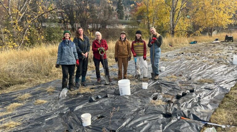 Monarch butterfly waystation established in Nelson