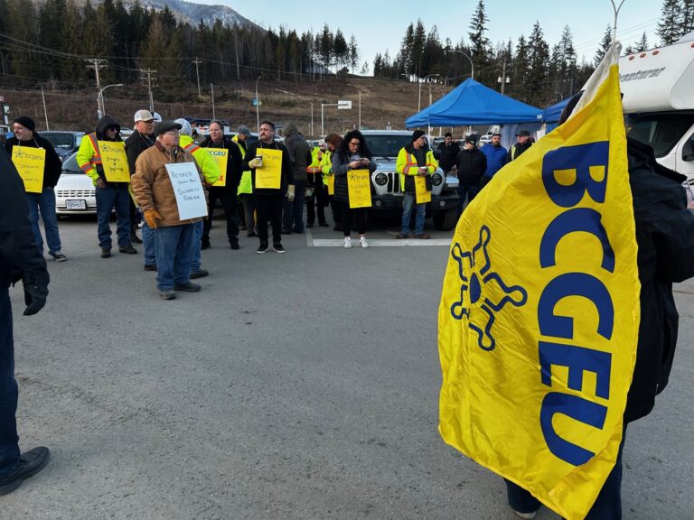 BCGEU rally in solidarity