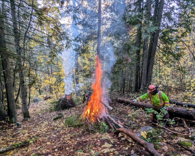 City of Nelson to conduct wildfire mitigation near Selkirk College’s Silver King Campus